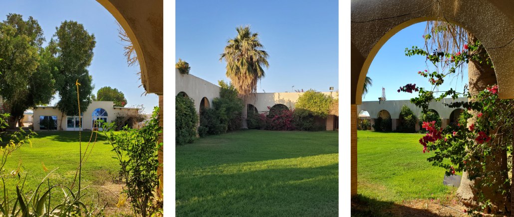 Masar garden